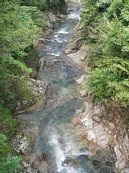 imgp037.jpg